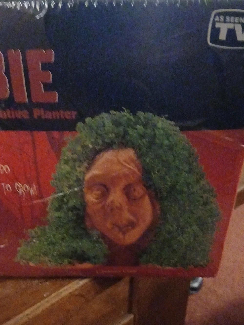 Chia Zombie Lifeless Lisa